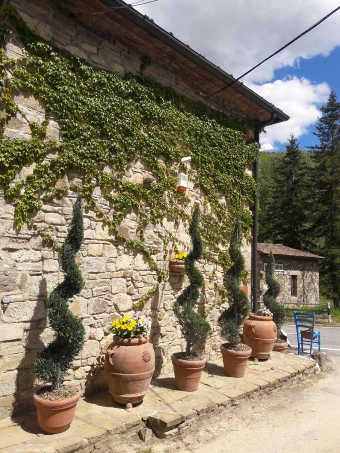 La Fiaba Pensionat Castellina in Chianti Eksteriør billede